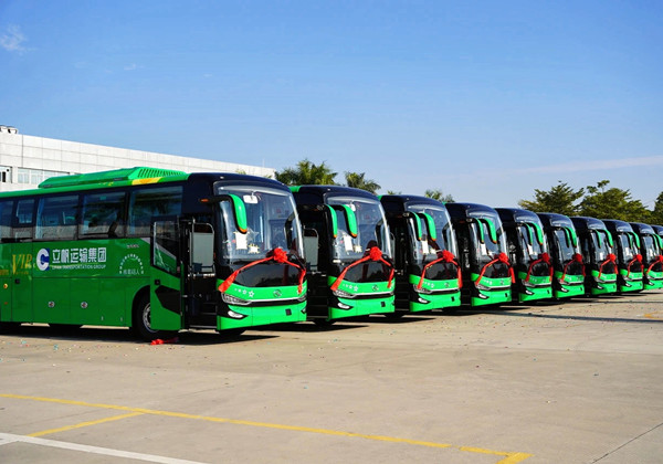 Hàng trăm xe buýt King Long đã được chuyển đến Thâm Quyến